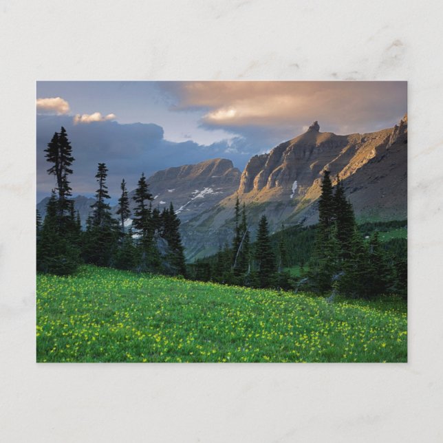 USA, Montana, Gletscher National Park, Logan Pass Postkarte (Vorderseite)