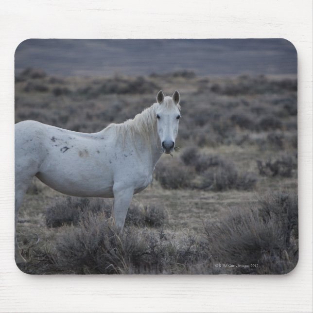 USA MOUSEPAD (Vorne)