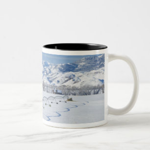 USA, MT, Farm bei Livingston Zweifarbige Tasse