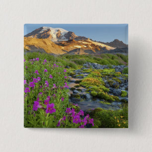 USA, Mt. Rainier Nationalpark, Washington. Button