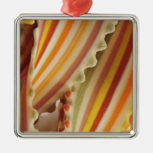 USA. Nahaufnahme von getrockneten Regenbogen-Nudel Silbernes Ornament