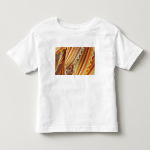 USA. Nahaufnahme von getrockneten Regenbogen-Pasta Kleinkind T-shirt