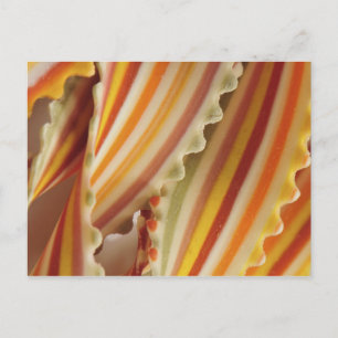 USA. Nahaufnahme von getrockneten Regenbogen-Pasta Postkarte