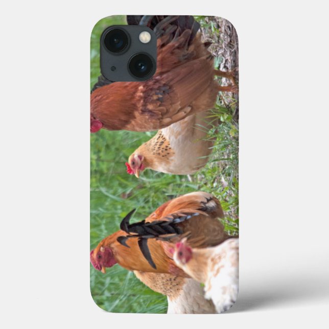 USA, Nebraska. Chickens Case-Mate iPhone Hülle (Rückseite)
