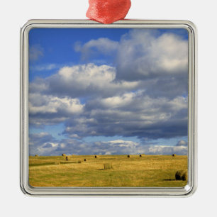 USA, Nebraska, Morrill County. Goldenes Heu Silbernes Ornament