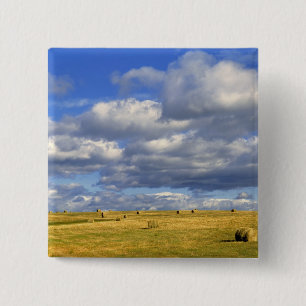 USA, Nebraska, Morrill Landkreis. Goldene Heue Button