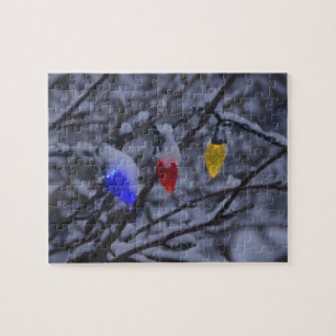 USA, Neu-England, Massachusetts, Lesung, 2