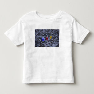 USA, Neu-England, Massachusetts, Lesung, 2 Kleinkind T-shirt