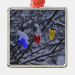 USA, Neu-England, Massachusetts, Lesung, 2 Silbernes Ornament