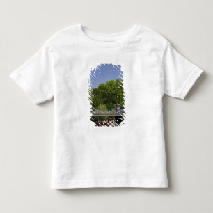 USA, Neuengland, Massachusetts, Boston, 2 Kleinkind T-shirt