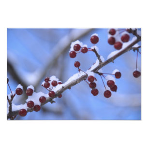 USA, Neuengland, Massachusetts, Reading, 3 Fotodruck