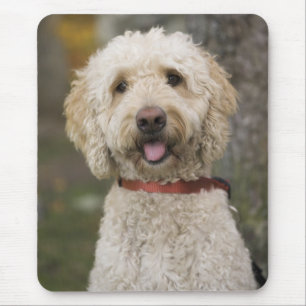 USA, Neuengland, Massachusetts, Reading, Mousepad