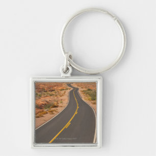 USA, Nevada, Tal des Feuers, Wüstenstraße Schlüsselanhänger