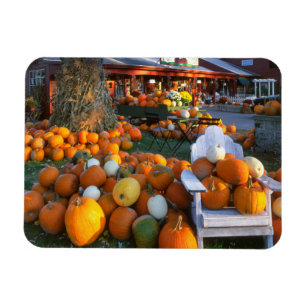 USA, New England, Maine, Wells. Herbstausstellung Magnet
