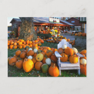 USA, New England, Maine, Wells. Herbstdarstellung Postkarte