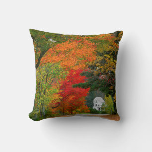 USA, New England, New Hampshire, Andover Kissen