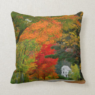 USA, New England, New Hampshire, Andover Kissen
