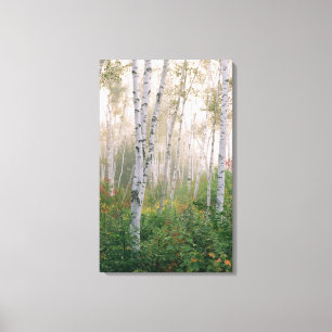 USA, New Hampshire. Birnen im Nebel Leinwanddruck