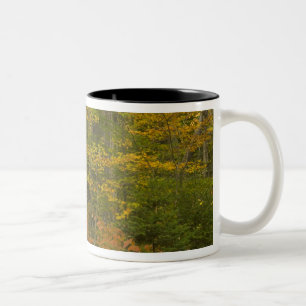USA, New Hampshire, Livermore, Weißer Berg Zweifarbige Tasse