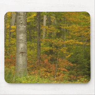 USA, New Hampshire, Livermore, White Mountain Mousepad