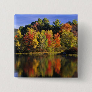 USA, New Hampshire, Moultonborough. Bäume in Button