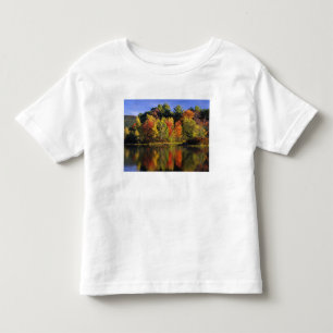 USA, New Hampshire, Moultonborough. Bäume in Kleinkind T-shirt