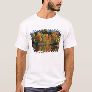 USA, New Hampshire, Moultonborough. Bäume in T-Shirt