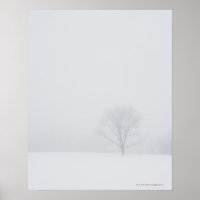 USA, New Jersey, einsamer Baum im Winter