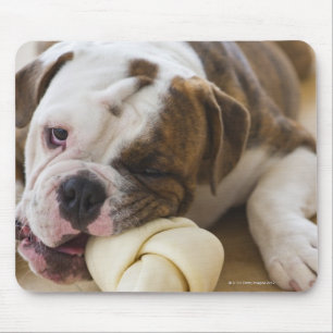 USA, New-Jersey, Jersey City, niedlicher Mousepad