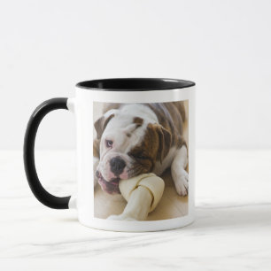 USA, New-Jersey, Jersey City, niedlicher Tasse