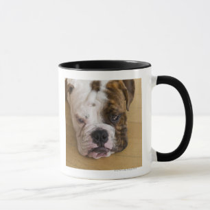 USA, New-Jersey, Jersey City, Porträt von gebohrt Tasse