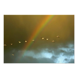 USA, New Mexico, Bosque del Apache National 3 Fotodruck