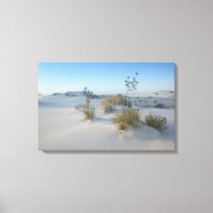 USA, New Mexico, White Sands National 2 Leinwanddruck