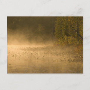 USA, New York, Adirondack Park. Morgennebel auf Postkarte
