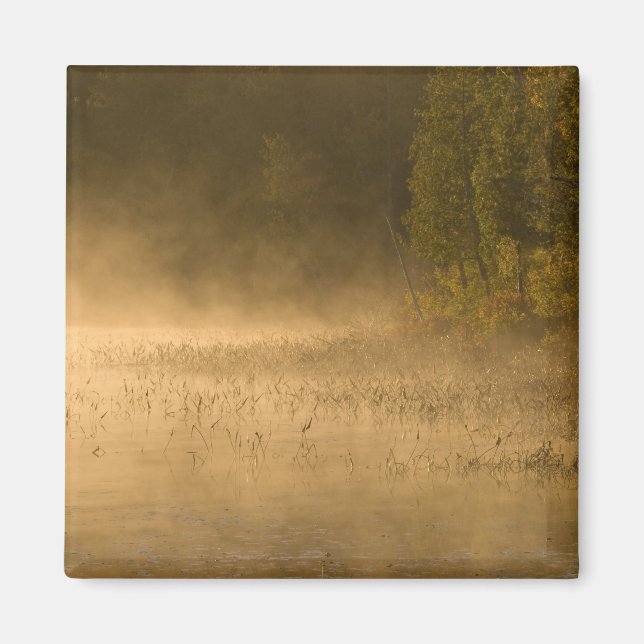 USA, New York, Adirondack Park. Sonnenaufgangsnebe Magnet (Vorne)