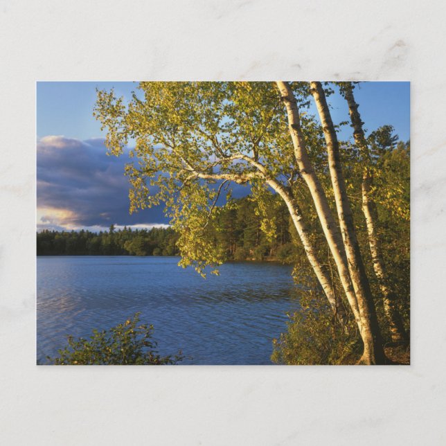 USA, New York, Adirondack Park und Preserve Postkarte (Vorderseite)
