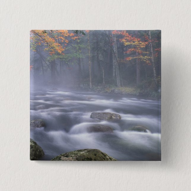 USA, New York, Adirondacks, Big Moose River Button (Vorderseite)