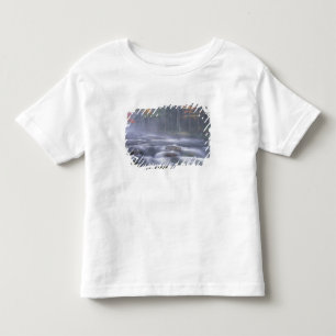 USA, New York, Adirondacks, Big Moose River Kleinkind T-shirt