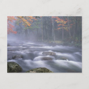 USA, New York, Adirondacks, Big Moose River Postkarte
