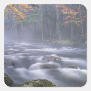 USA, New York, Adirondacks, Big Moose River Quadratischer Aufkleber