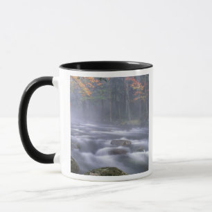 USA, New York, Adirondacks, Big Moose River Tasse