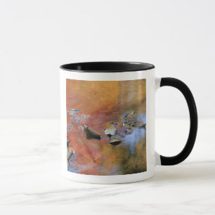 USA, New York, Adirondacks, Fallen Blätter in Tasse
