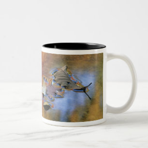 USA, New York, Adirondacks, Gefallene Blätter in Zweifarbige Tasse