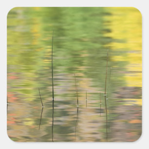USA, New York, Adirondacks, Reflections in water Quadratischer Aufkleber
