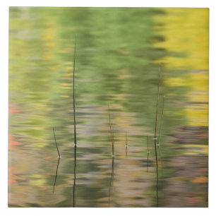 USA, New York, Adirondacks, Spiegelungen im Wasser Fliese