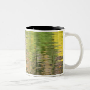 USA, New York, Adirondacks, Spiegelungen im Wasser Zweifarbige Tasse