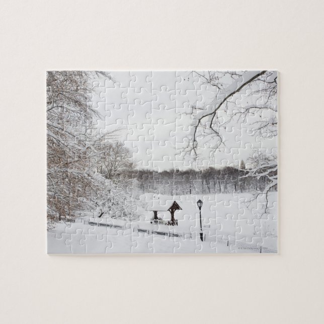 USA, New York City, Central Park im Winter (Horizontal)