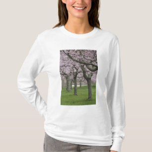 USA, New York, East Hampton. Kirschbäume in T-Shirt