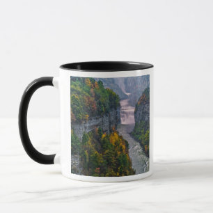 USA, New York, Letchworth State Park. Fluss und Tasse
