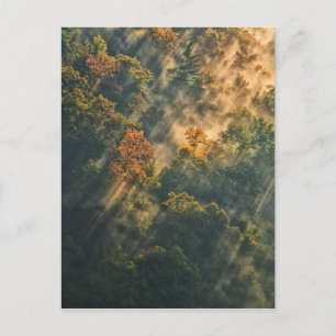 USA, New York, Letchworth State Park. Sonnenaufgan Postkarte